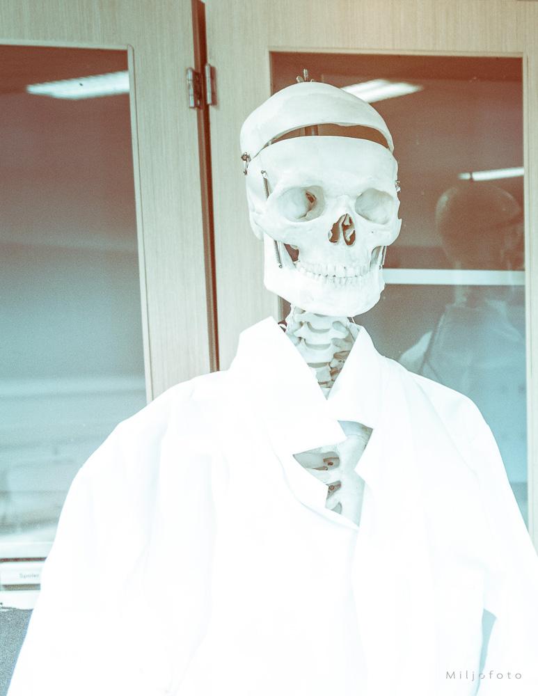 Doktor skjelett Doktor skjelett