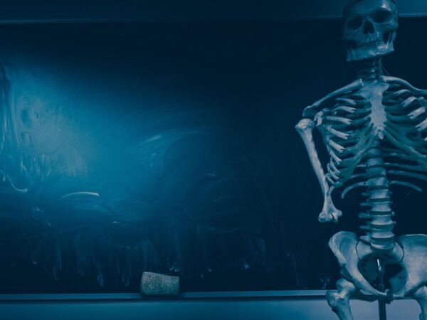 Skjelett og tavle
