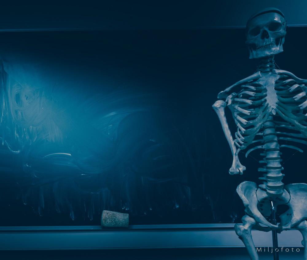 Skjelett og tavle Skjelett og tavle