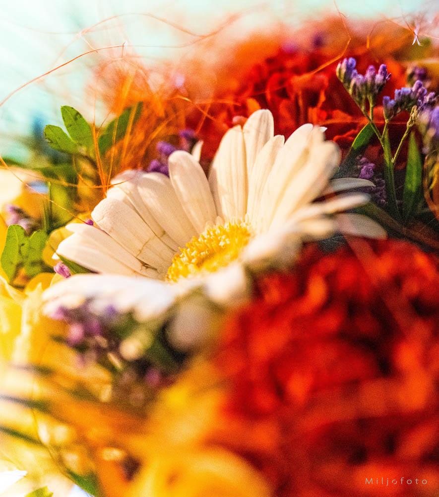 Blomsterbukett 2 Blomsterbukett 2