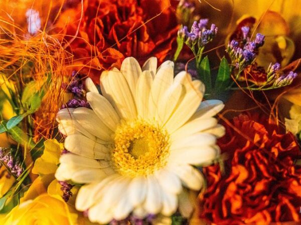 Blomsterbukett