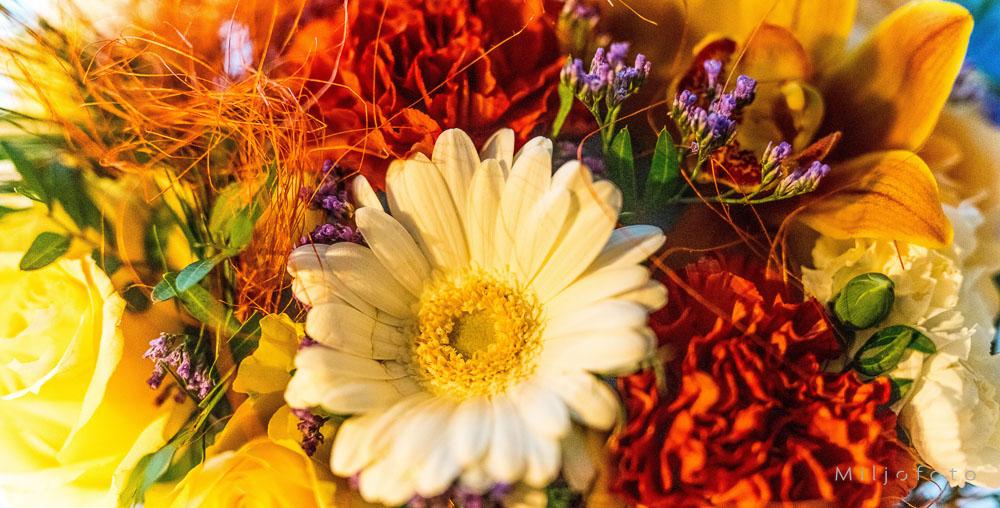 Blomsterbukett Blomsterbukett