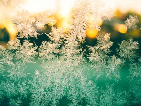 Frostkrystaller