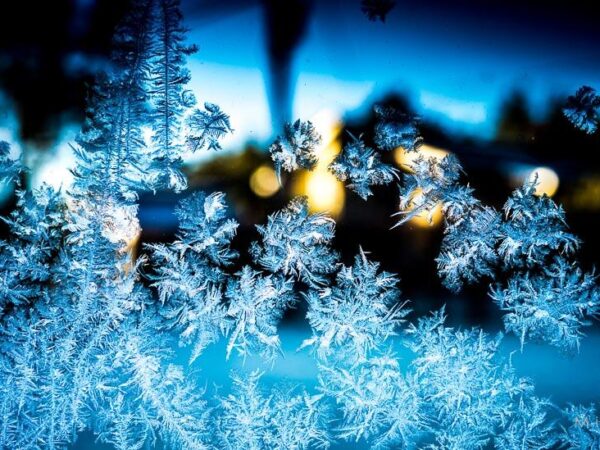 Frost i mørket