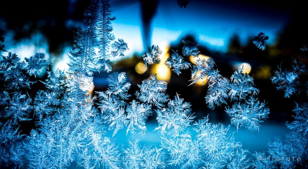 Frost i mørket Frost i mørket