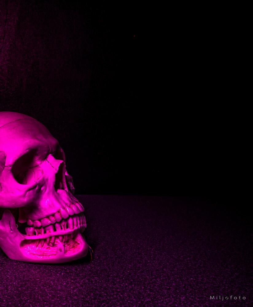 Hodeskalle rosa Hodeskalle rosa