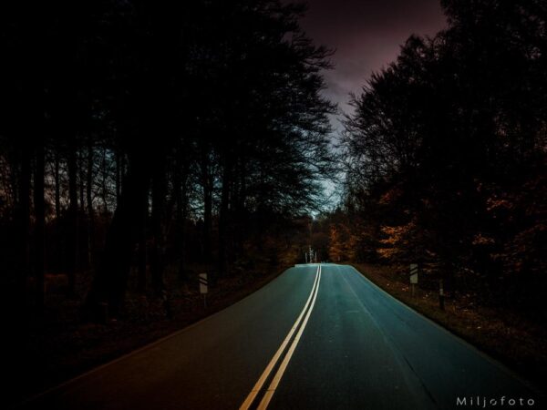 Landevei - Bakgrunner