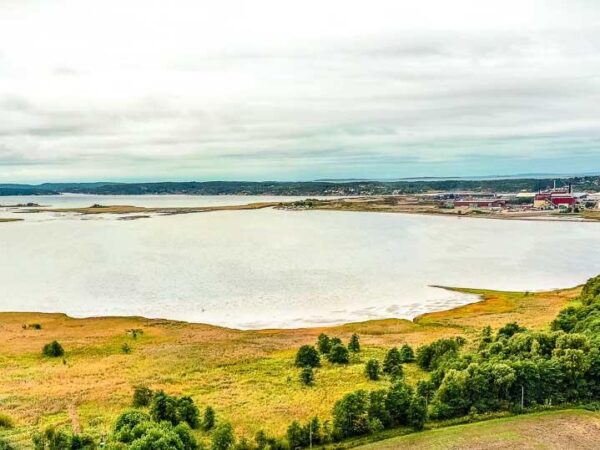 Gansrød naturreservat