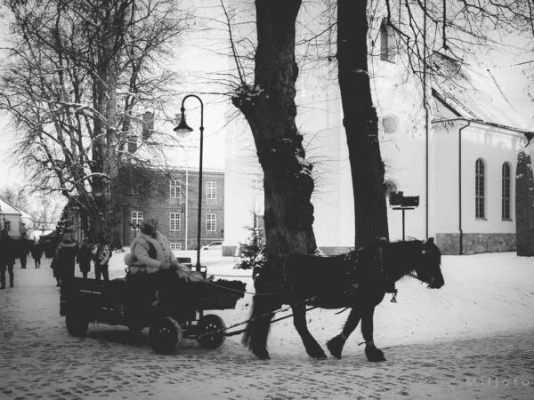 Med hest og slede i gamlebyen