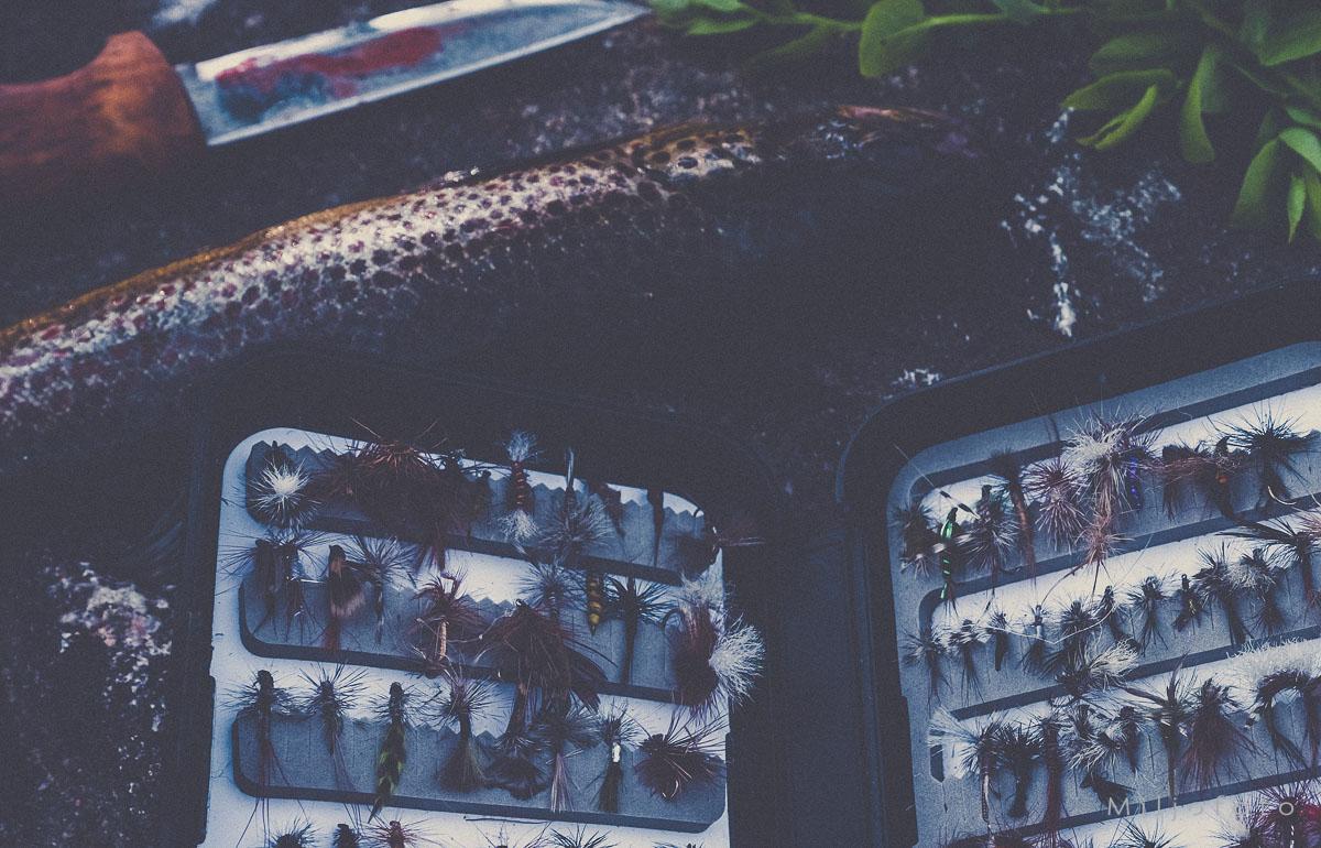 Fluefiske og ørret Fluefiske og ørret