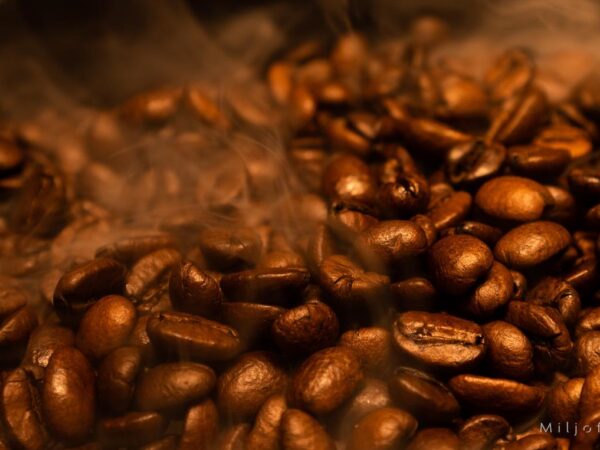 kaffebønner rykende ferske