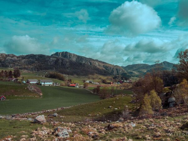 Landbruk på Jæren