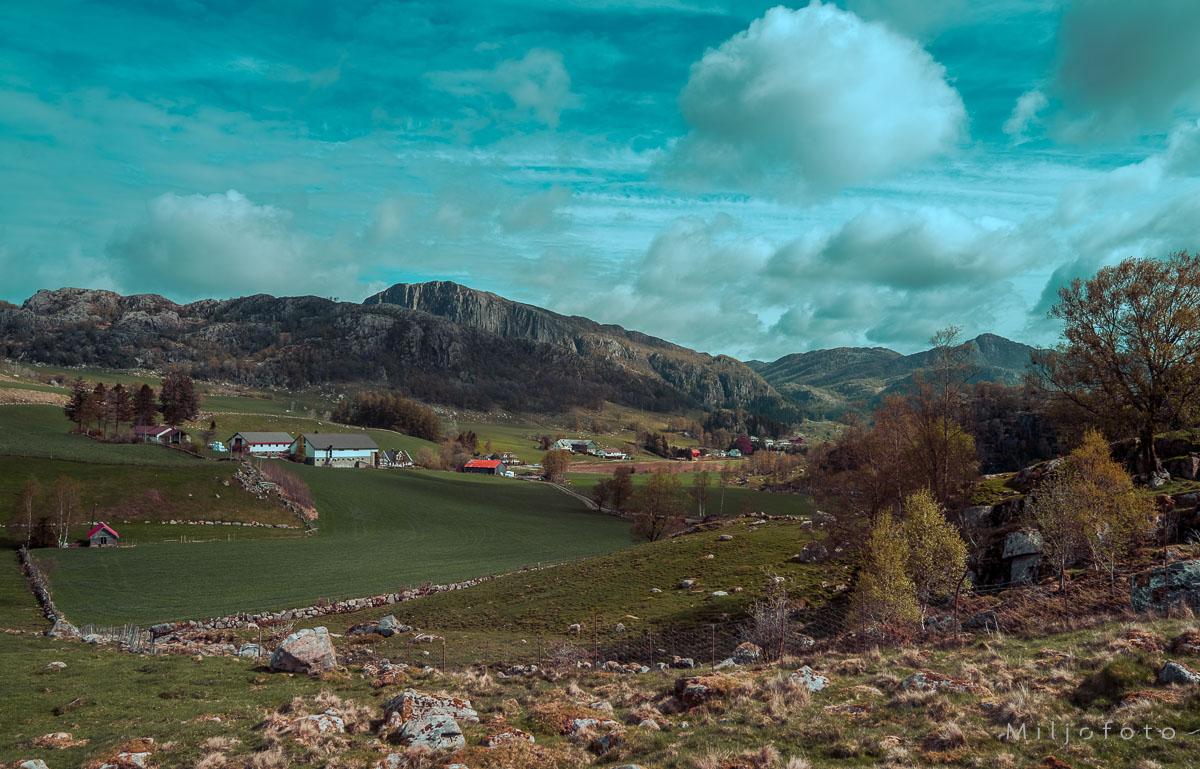 Landbruk på Jæren
