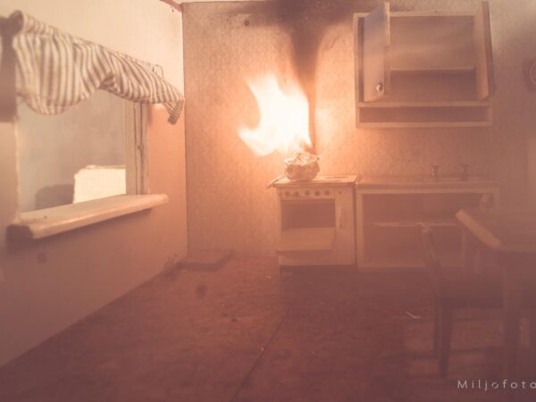 Frityrbrann - Visualiseringer