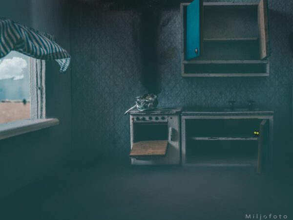 Det kunne gått galt - Visualiseringer