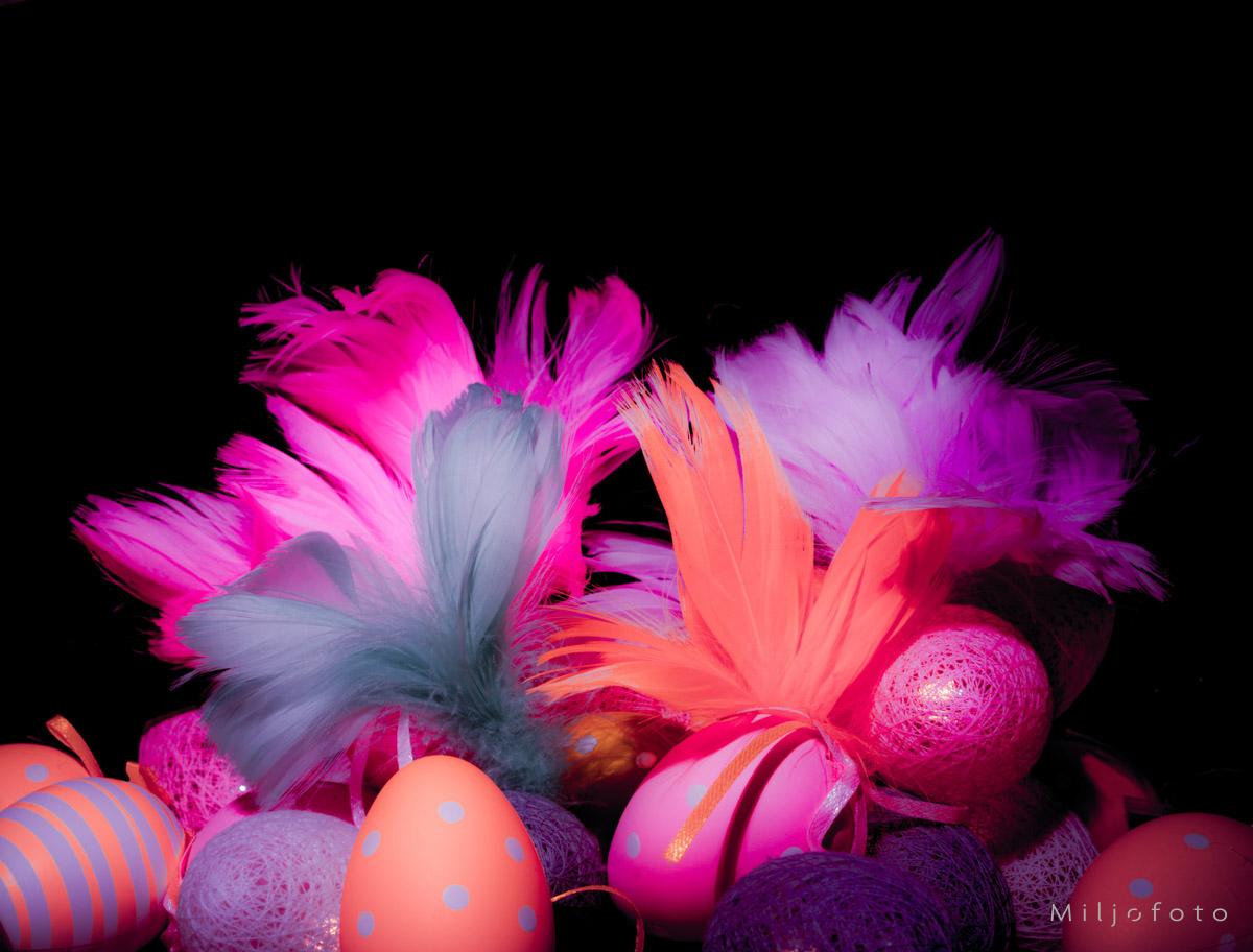 Påske fjær - Påske Påske fjær - Påske