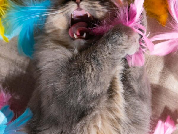 Gøy med påske - Påske