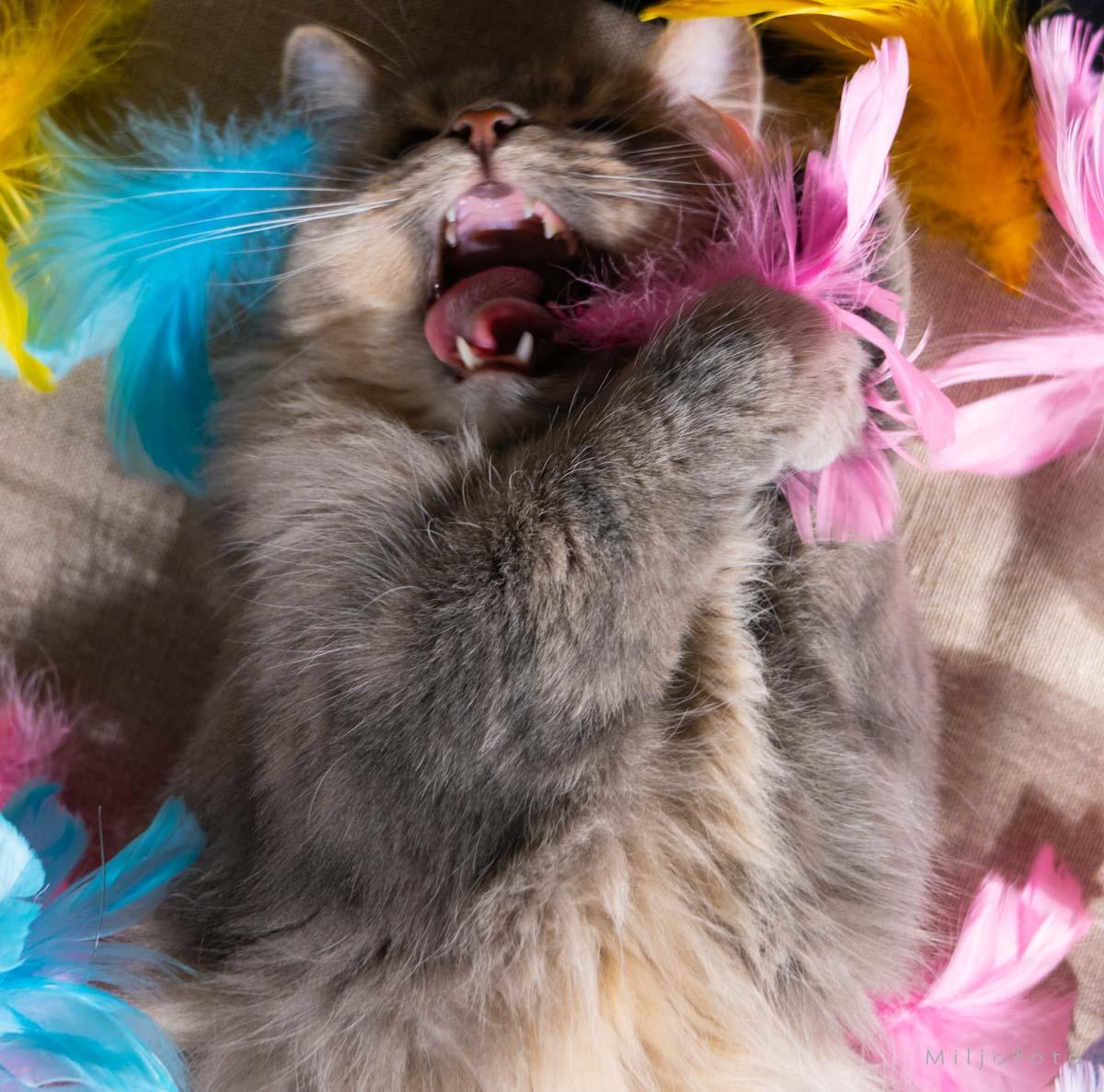 Gøy med påske - Påske Gøy med påske - Påske