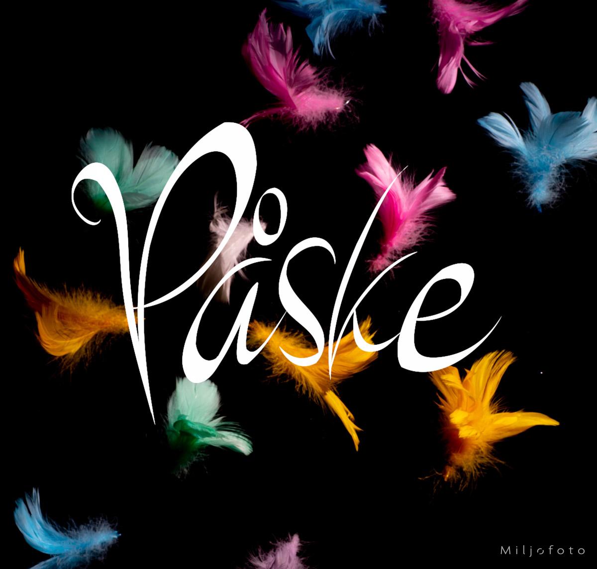 Fjær - Påske Fjær - Påske