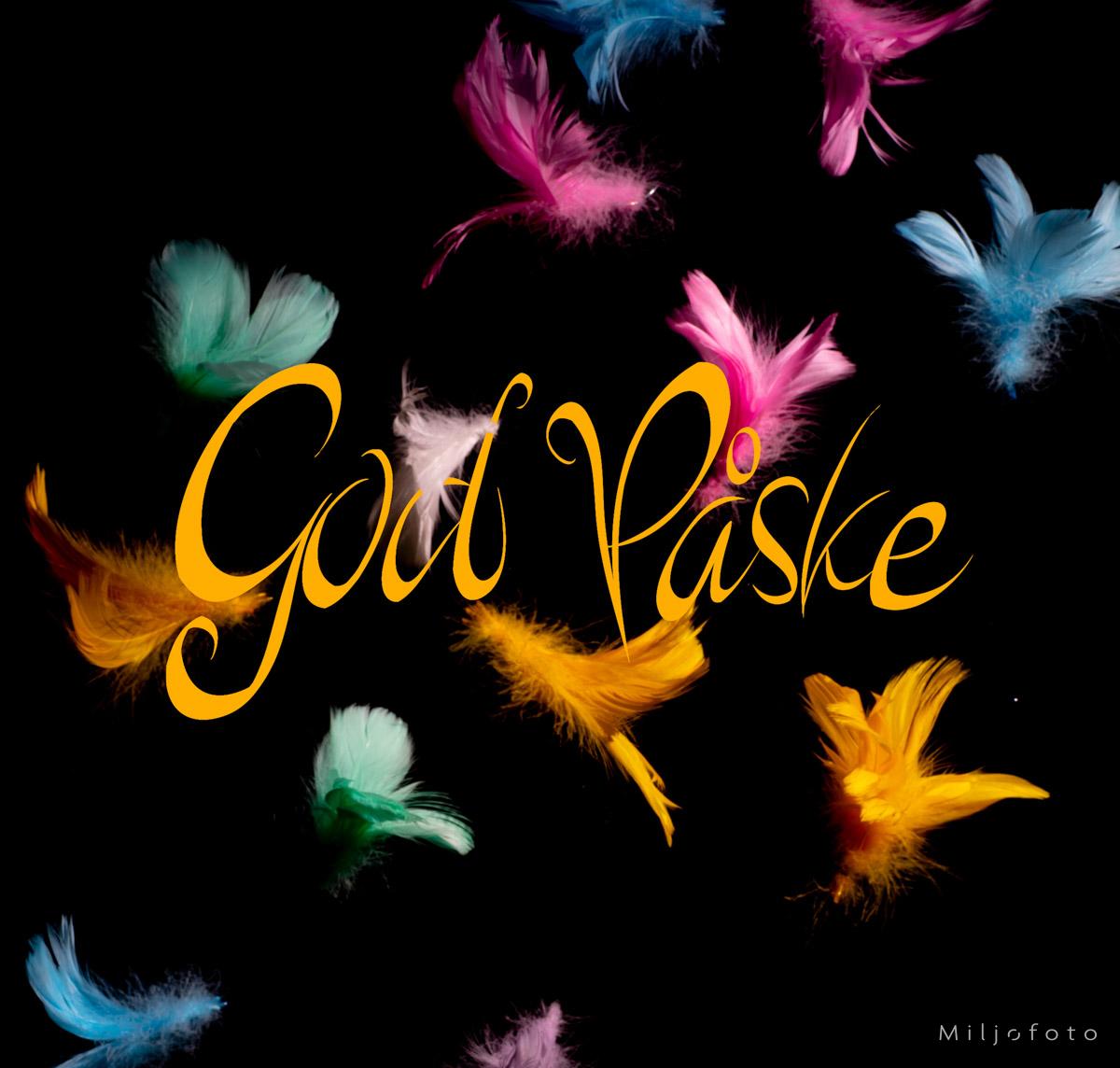 Gul - Påske Gul - Påske