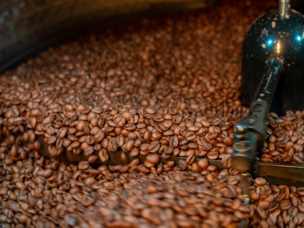 Nedkjøling av kaffebønner - Kaffe