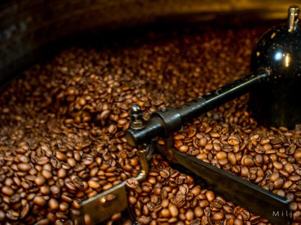 Rensing av kaffebønner - Kaffe