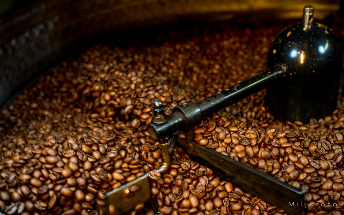 Rensing av kaffebønner - Kaffe