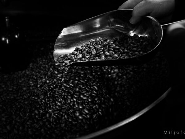 Kontroll av kaffebønner - Kaffe