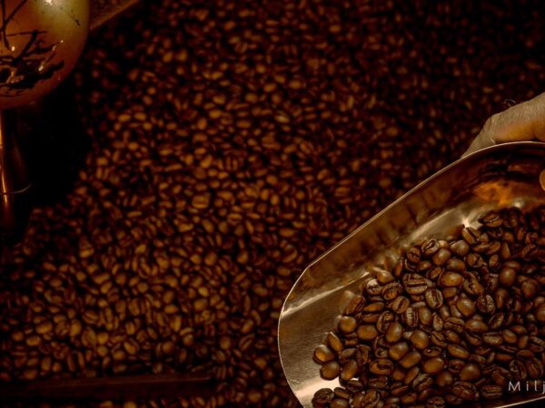 kaffeproduksjon - kaffe