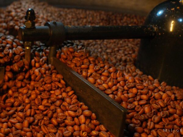 Ny ristet kaffe - Kaffe