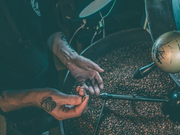 Kvalitetssikring - Kaffe