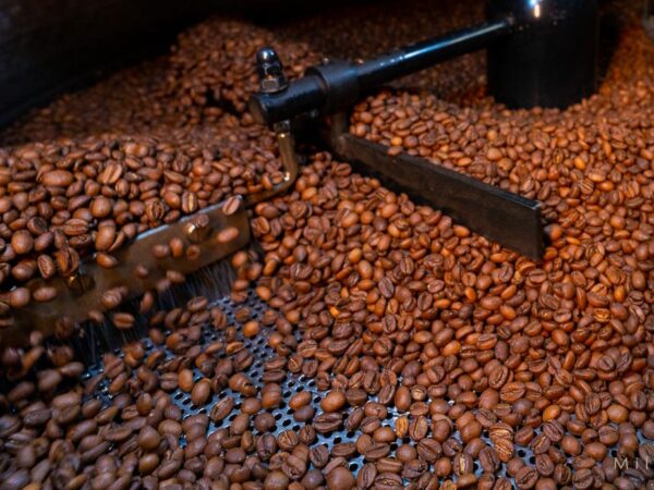 Ferskere blir det ikke - Kaffe