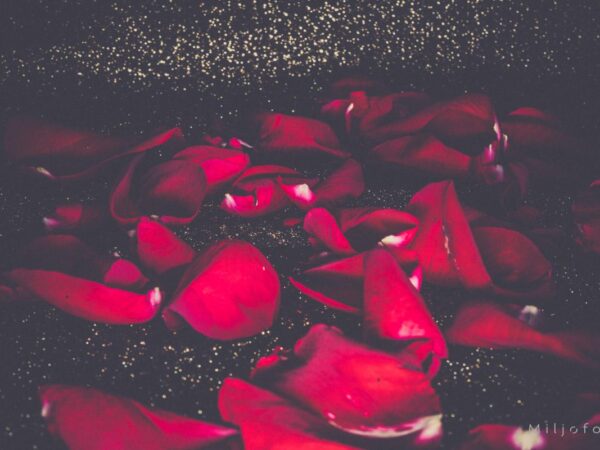 Roseblader - Blomster
