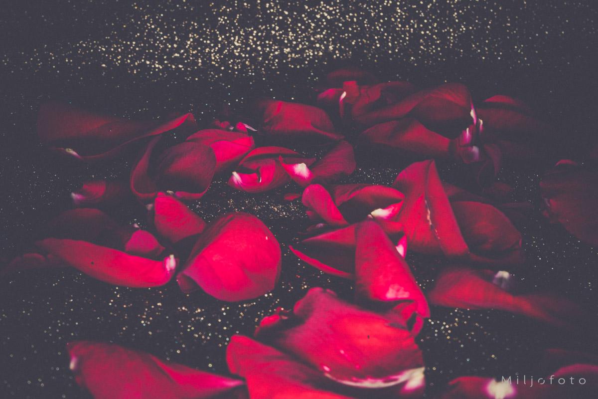 Roseblader - Blomster
