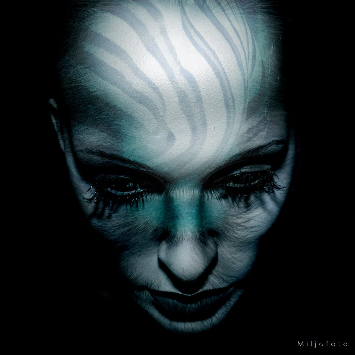 Dyrisk - Følelser Dyrisk - Følelser