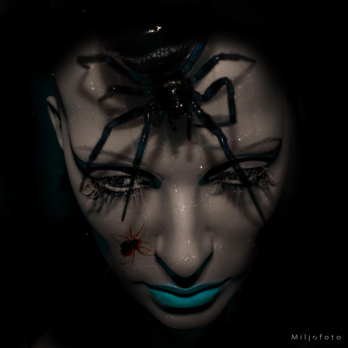 Fobi - Følelser Fobi - Følelser