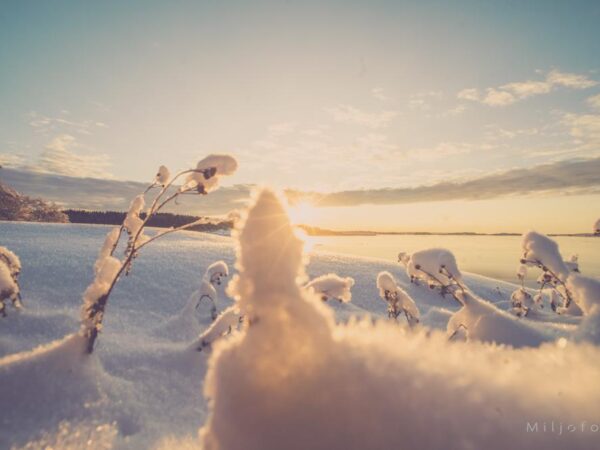 Snø og sol