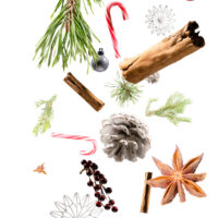 Jule dryss med kongler, kanelstang, stjerneanis, stjerner, granbar, julekuler og godteri