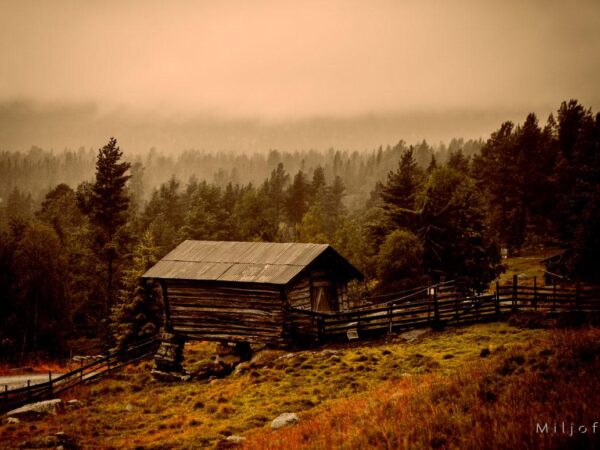 Stabbur i landskapet