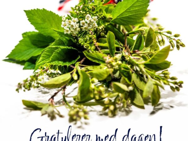 17.mai - Gratulerer