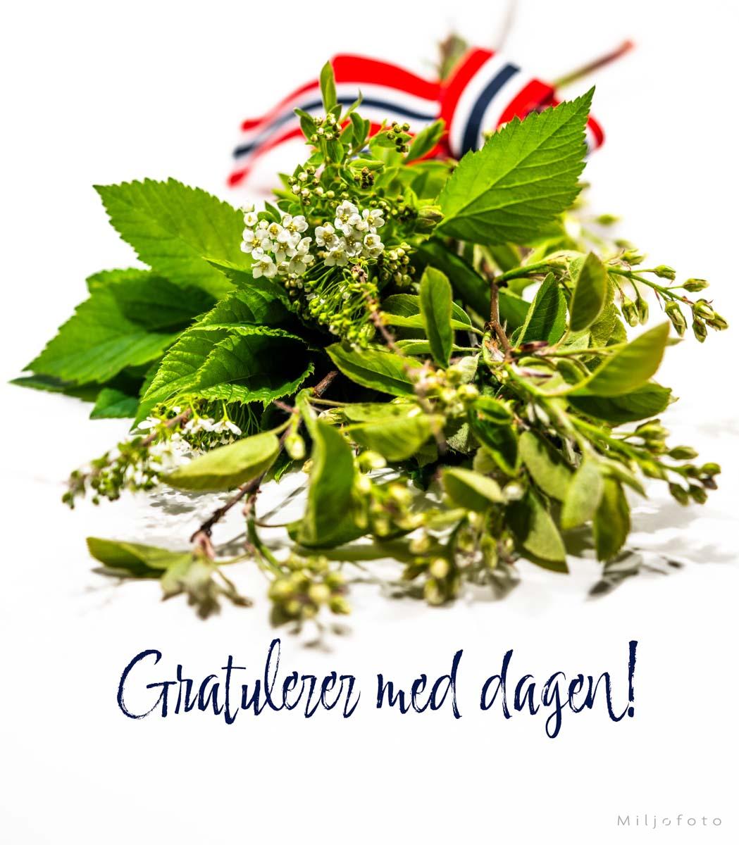 17.mai - Gratulerer 17.mai - Gratulerer