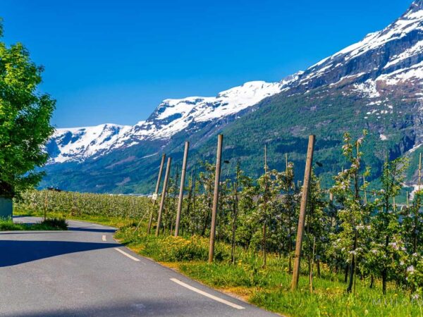 Hardanger (13)