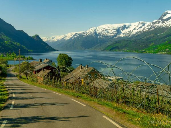 Hardanger (14)