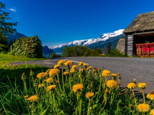 Hardanger (17)