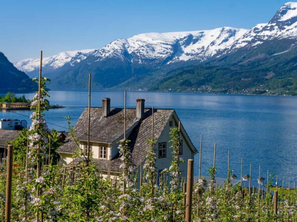 Hardanger (18)