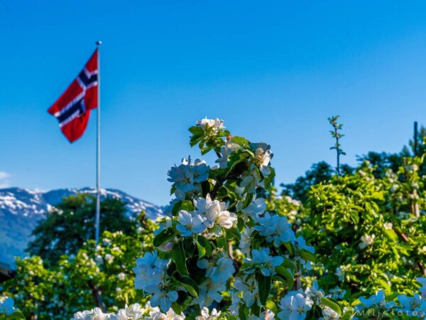 Hardanger (2)