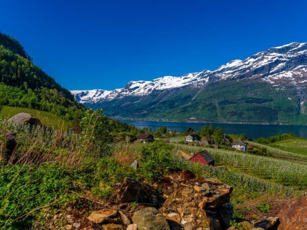 Hardanger (20)