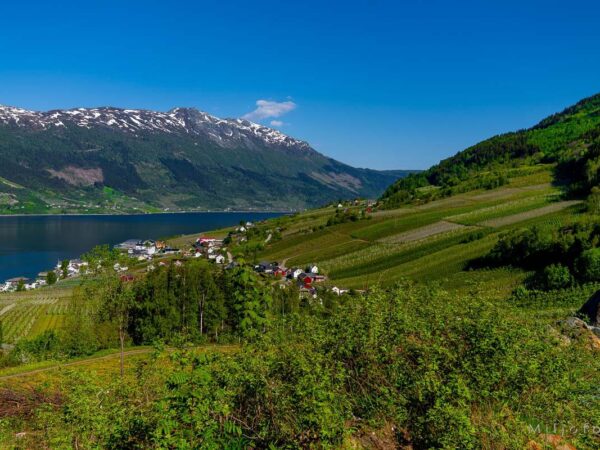 Hardanger (21)