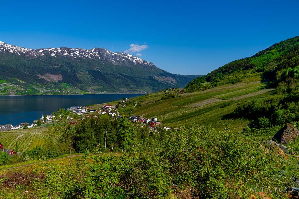 Hardanger (21)