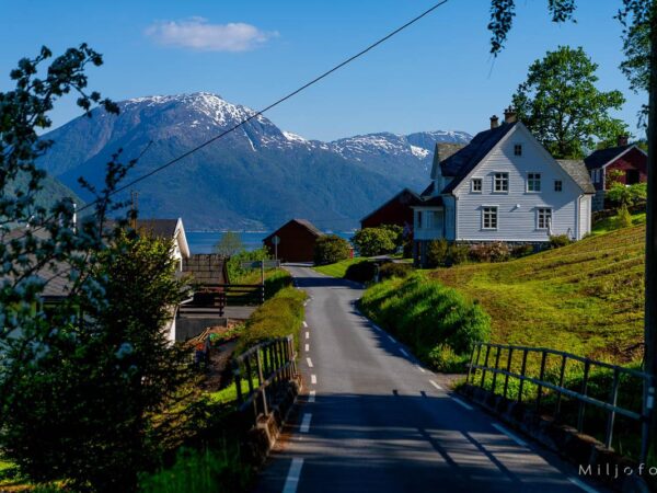 Hardanger (9)